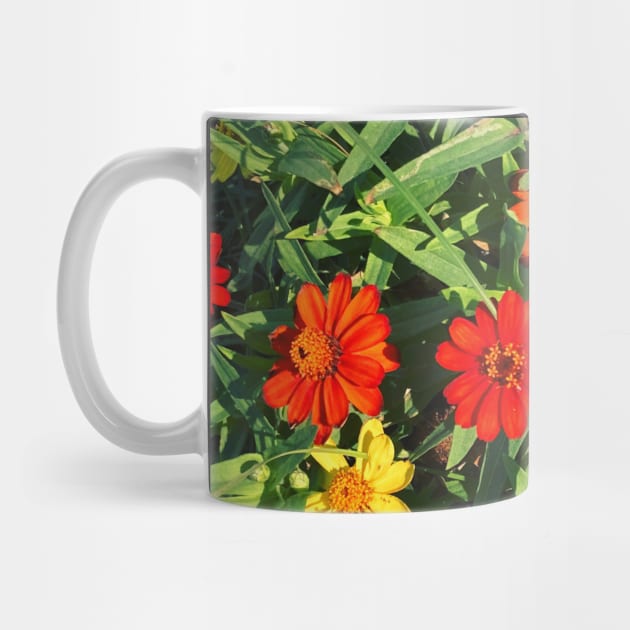 Pretty Red Orange and yellow Flowers with green leaves nature lovers beautiful photography design by BoogieCreates